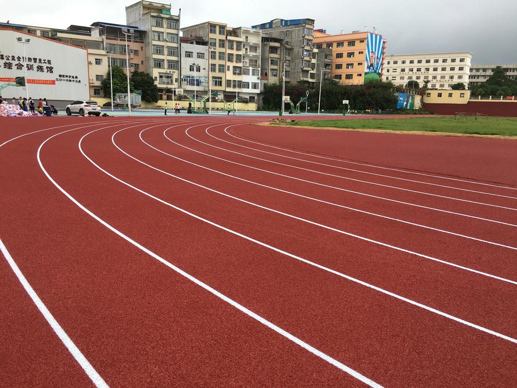 果洛藏族自治州学校塑胶跑道塑胶跑道材料 - 排名